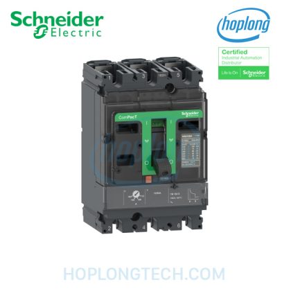 c12f3tm160l schneider 1 1