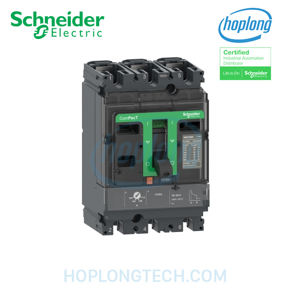 schneider c10n6tm040